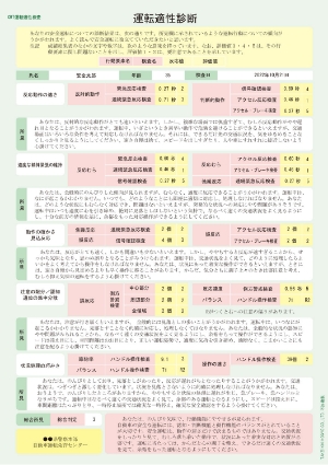 運転適性診断票〈 標準タイプ 〉